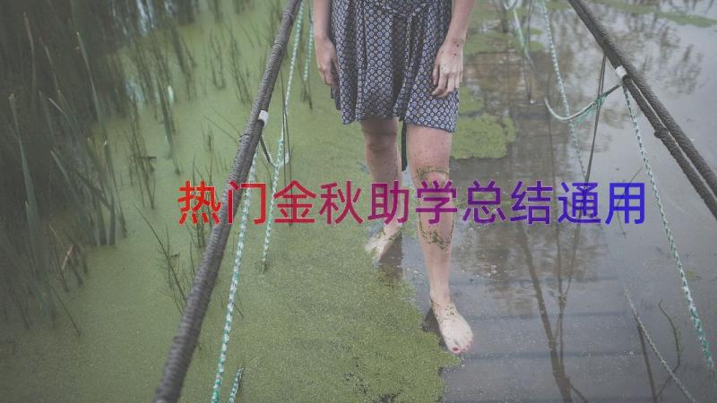 热门金秋助学总结（通用14篇）