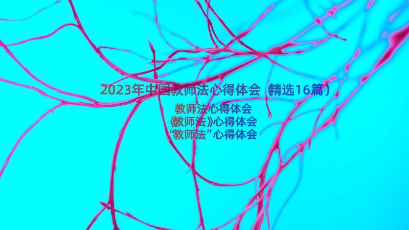 2023年中国教师法心得体会（精选16篇）