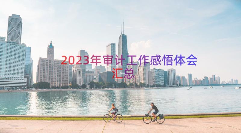 2023年审计工作感悟体会（汇总13篇）