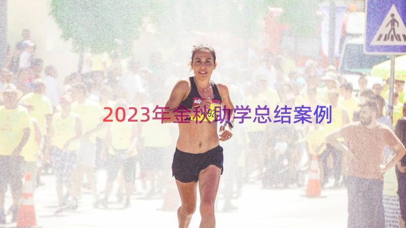 2023年金秋助学总结（案例16篇）