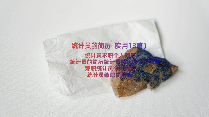 统计员的简历（实用13篇）