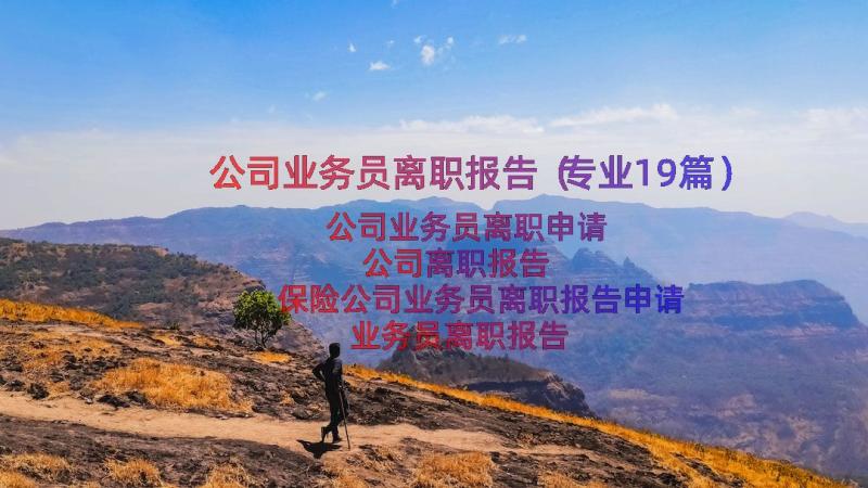 公司业务员离职报告（专业19篇）