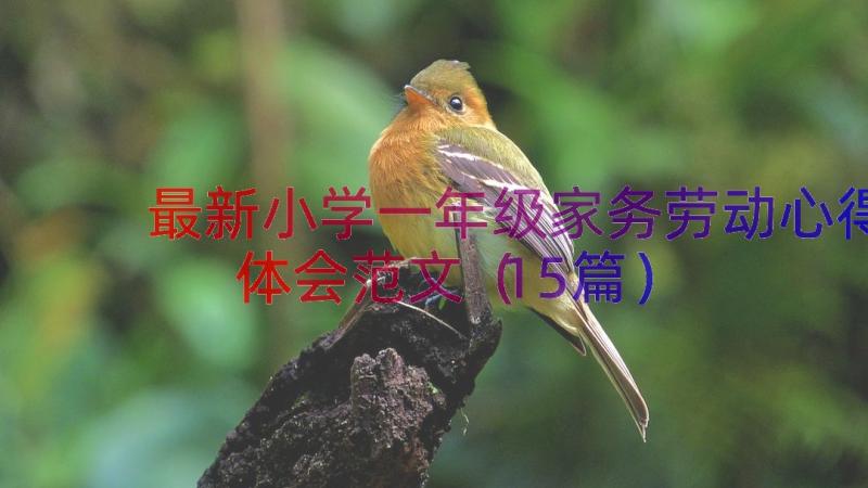 最新小学一年级家务劳动心得体会范文（15篇）