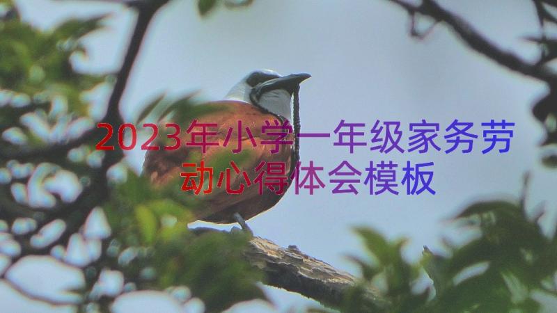 2023年小学一年级家务劳动心得体会（模板13篇）