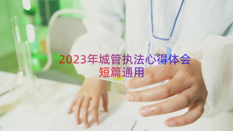 2023年城管执法心得体会短篇（通用15篇）