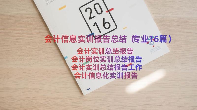 会计信息实训报告总结（专业16篇）