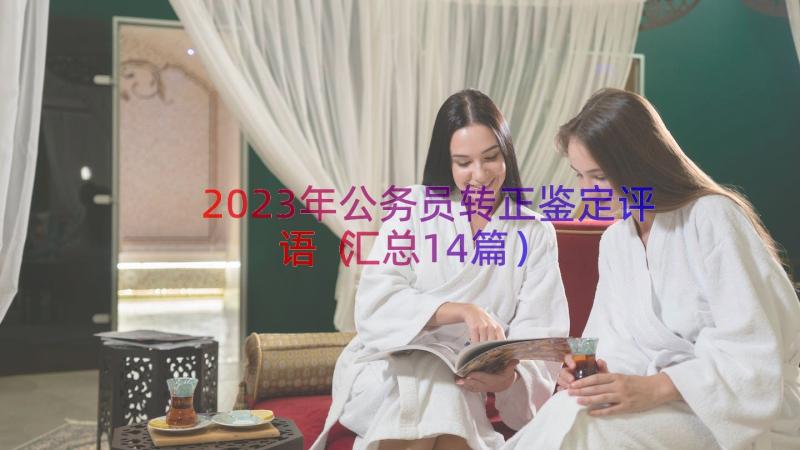 2023年公务员转正鉴定评语（汇总14篇）