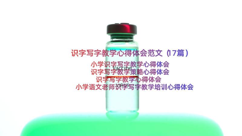 识字写字教学心得体会范文（17篇）