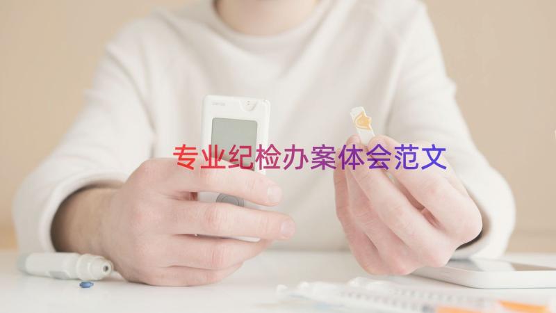 专业纪检办案体会范文（16篇）