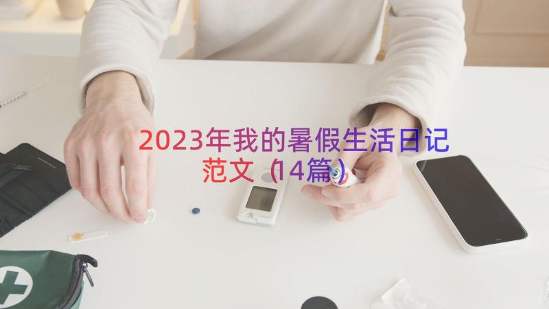 2023年我的暑假生活日记范文（14篇）