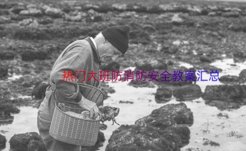 热门大班防消防安全教案（汇总14篇）