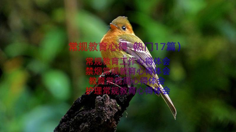 常规教育心得（热门17篇）