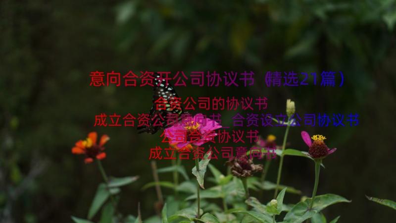 意向合资开公司协议书（精选21篇）