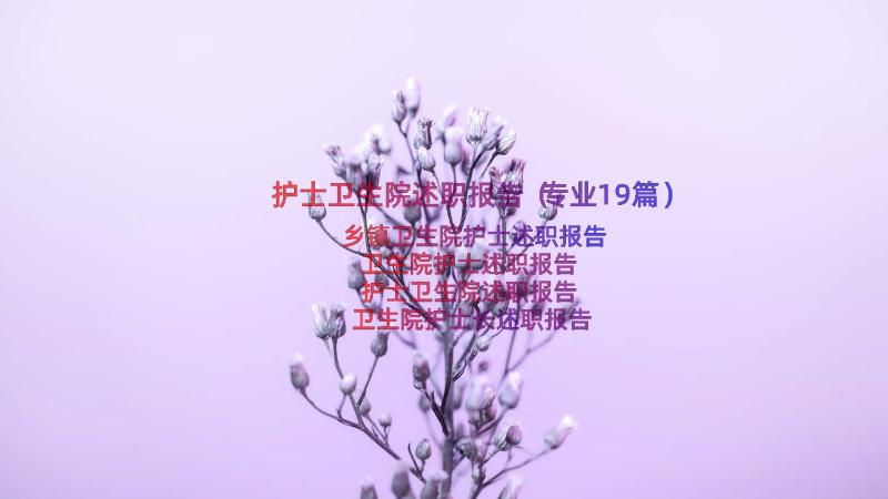 护士卫生院述职报告（专业19篇）