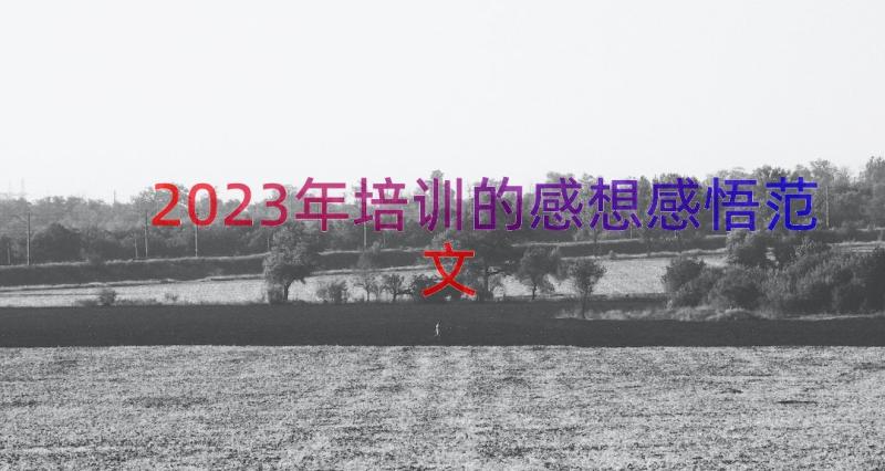 2023年培训的感想感悟范文（12篇）