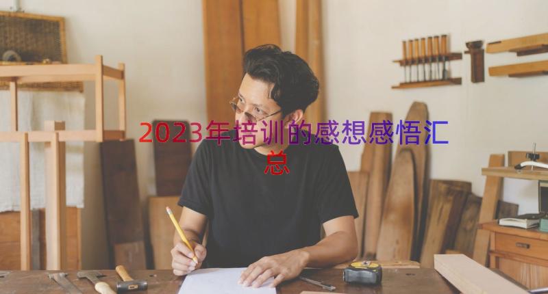 2023年培训的感想感悟（汇总15篇）