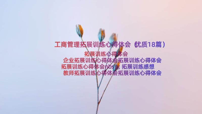 工商管理拓展训练心得体会（优质18篇）