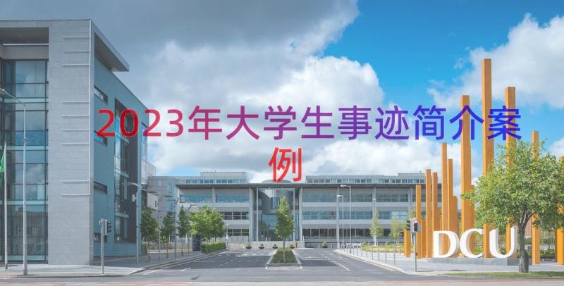 2023年大学生事迹简介（案例14篇）