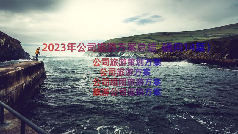 2023年公司旅游方案总结（通用14篇）