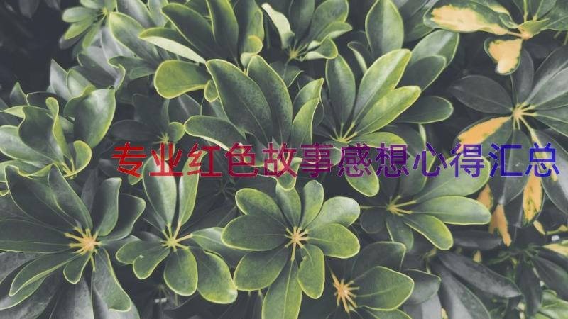 专业红色故事感想心得（汇总16篇）