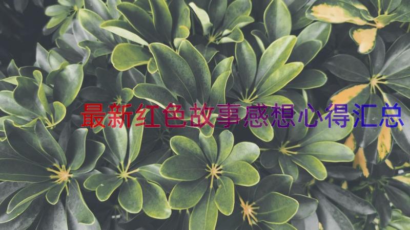 最新红色故事感想心得（汇总12篇）