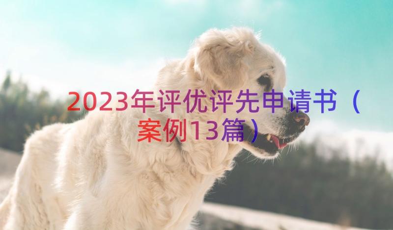 2023年评优评先申请书（案例13篇）