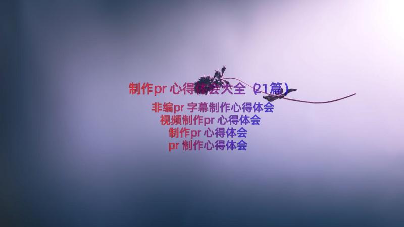 制作pr心得体会大全（21篇）