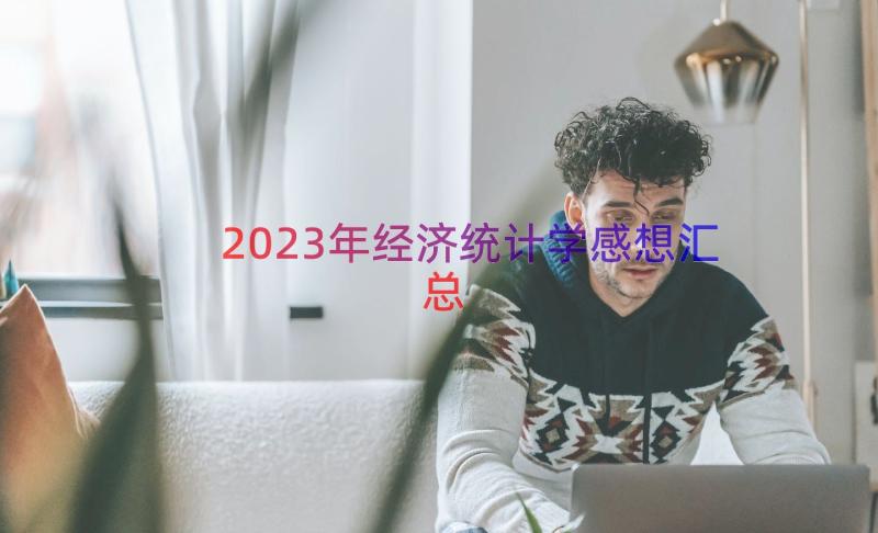 2023年经济统计学感想（汇总16篇）