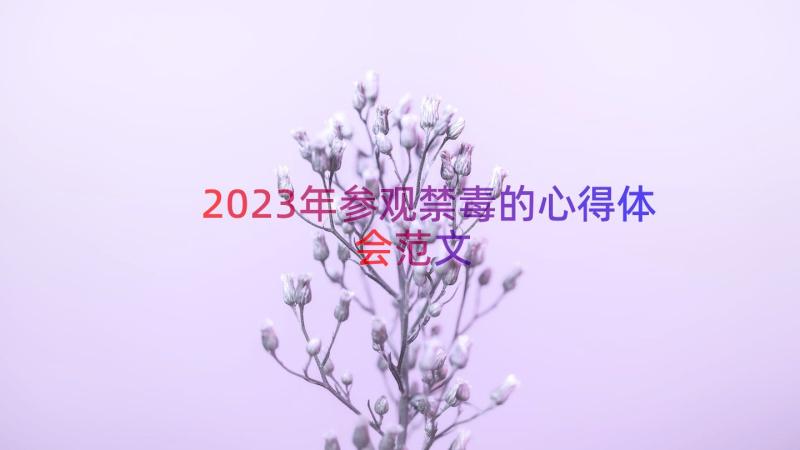 2023年参观禁毒的心得体会范文（16篇）