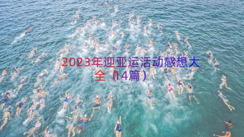 2023年迎亚运活动感想大全（14篇）