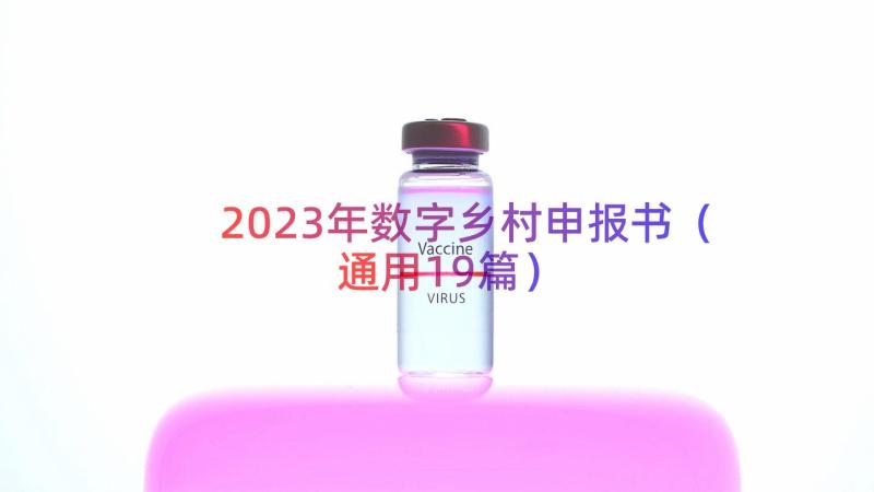 2023年数字乡村申报书（通用19篇）