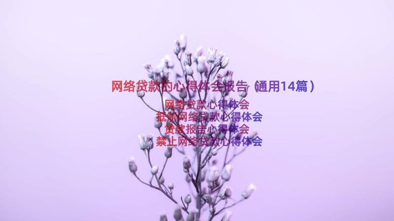 网络贷款的心得体会报告（通用14篇）