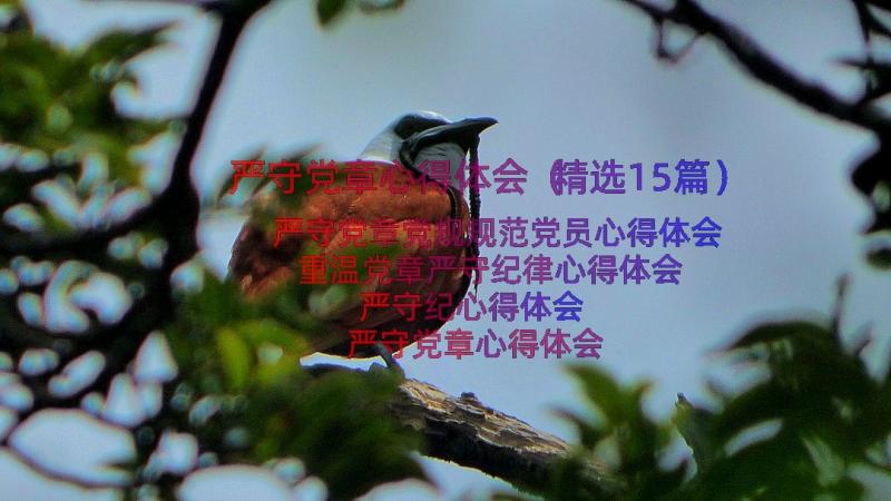 严守党章心得体会（精选15篇）