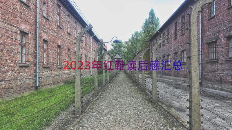 2023年红鞋读后感（汇总23篇）