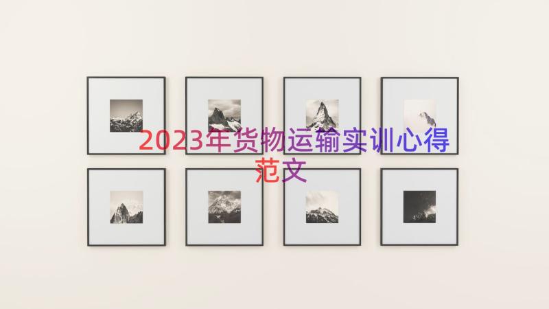 2023年货物运输实训心得范文（17篇）