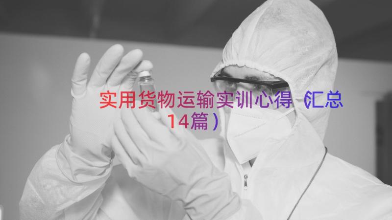 实用货物运输实训心得（汇总14篇）