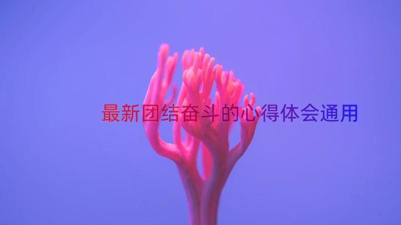 最新团结奋斗的心得体会（通用14篇）