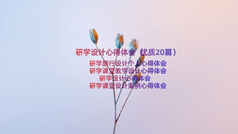 研学设计心得体会（优质20篇）