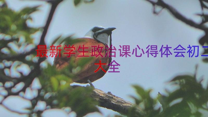 最新学生政治课心得体会初二大全（17篇）