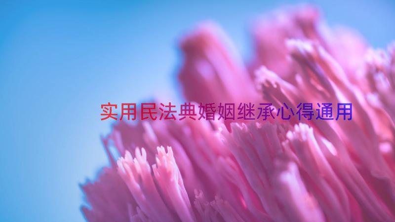 实用民法典婚姻继承心得（通用13篇）