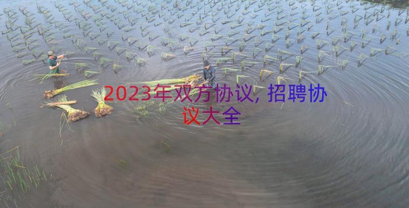 2023年双方协议,招聘协议大全（17篇）