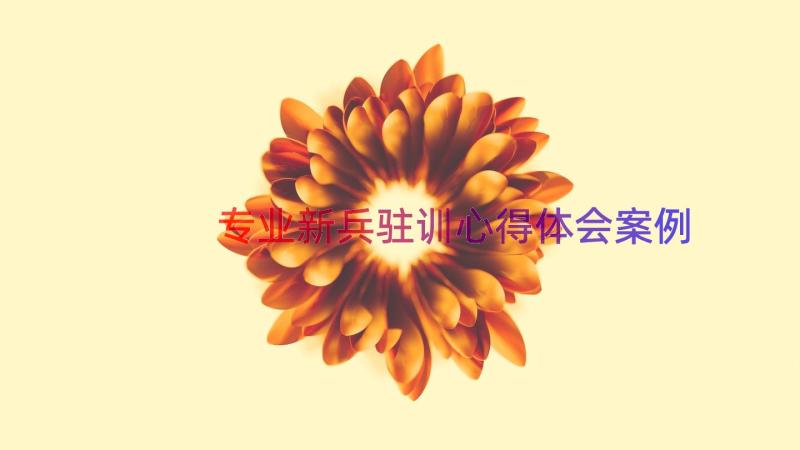 专业新兵驻训心得体会（案例15篇）