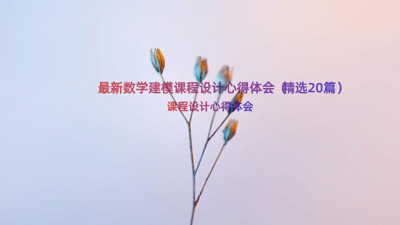 最新数学建模课程设计心得体会（精选20篇）