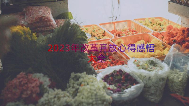 2023年改革开放心得感悟大全（15篇）