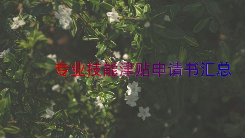 专业技能津贴申请书（汇总16篇）