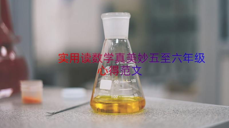 实用读数学真美妙五至六年级心得范文（20篇）