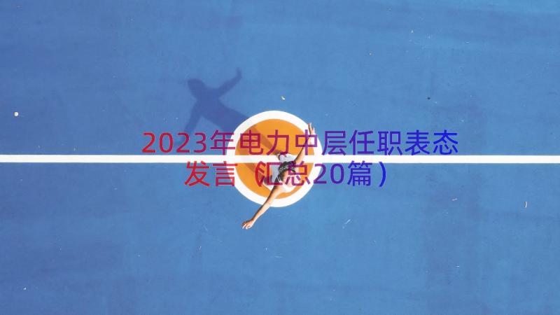 2023年电力中层任职表态发言（汇总20篇）