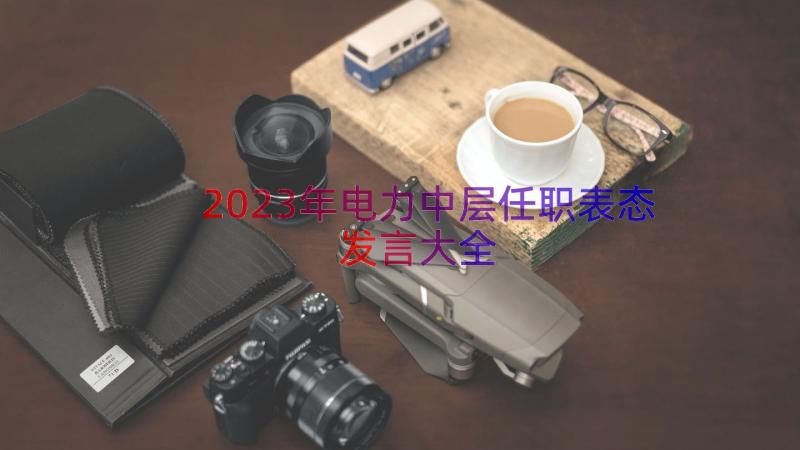 2023年电力中层任职表态发言大全（19篇）