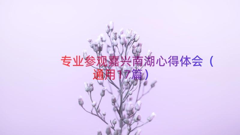 专业参观嘉兴南湖心得体会（通用17篇）