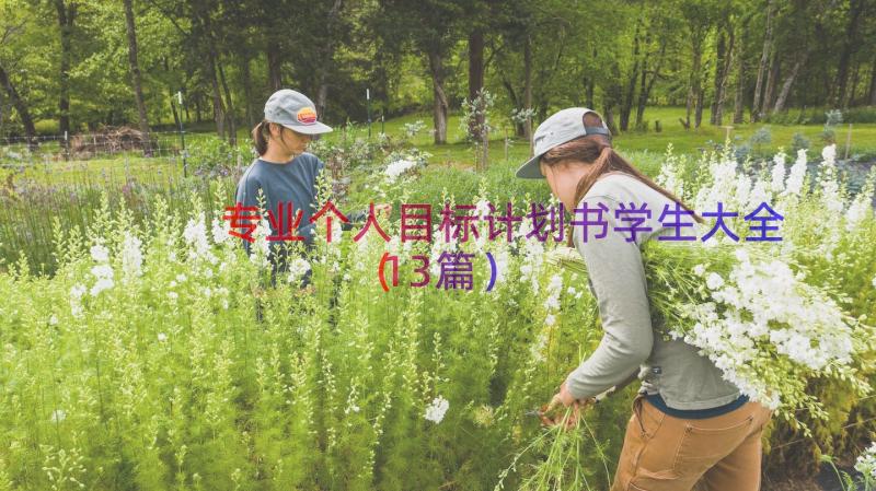 专业个人目标计划书学生大全（13篇）